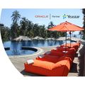 P550 PMS License купить в Минске. Доставка по Беларуси