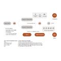 P560 PMS License купить в Минске. Доставка по Беларуси